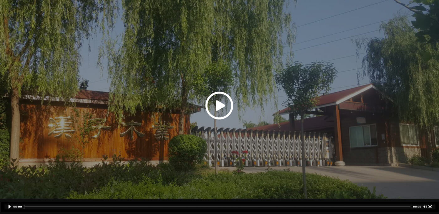 乐动网页版登入界面